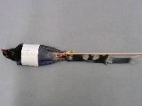 臺灣藍鵲藏品圖，第2張